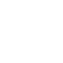 01_icn